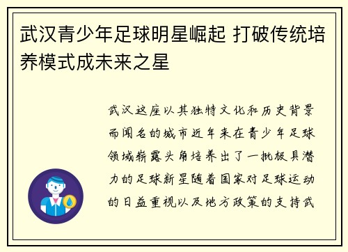 武汉青少年足球明星崛起 打破传统培养模式成未来之星